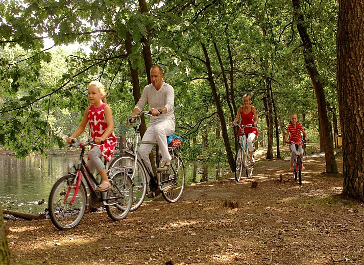 Guest house 400215 - Bungalow De Peel - Bospark 't Wolfsven 7