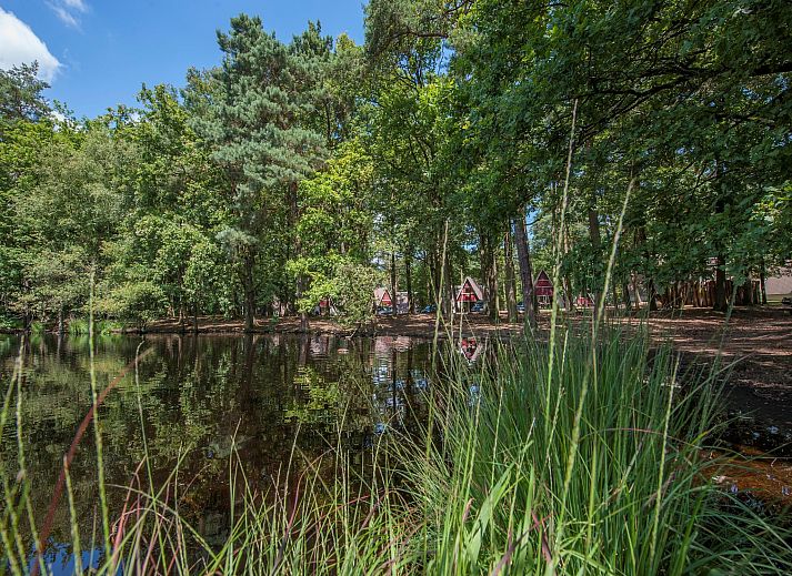 Guest house 400215 - Bungalow De Peel - Bospark 't Wolfsven 7