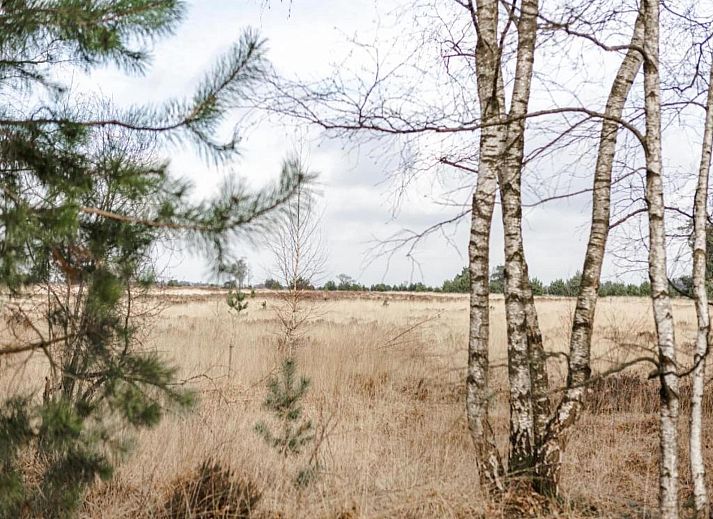 Guest house 400215 - Bungalow De Peel - Bospark 't Wolfsven 7