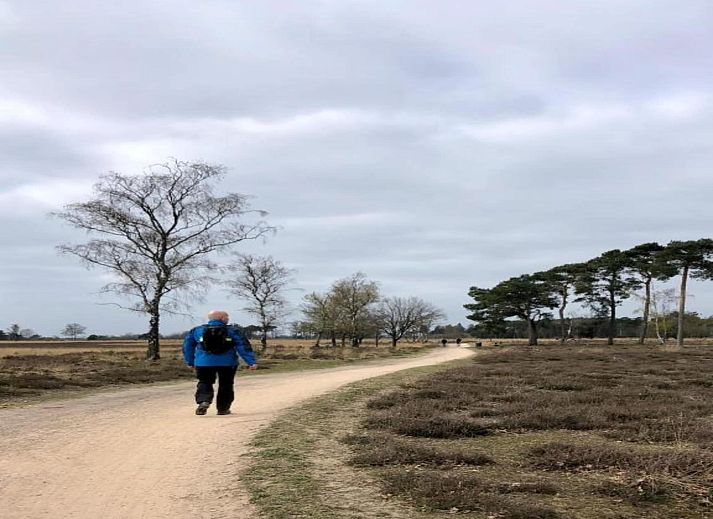 Guest house 400215 - Bungalow De Peel - Bospark 't Wolfsven 7