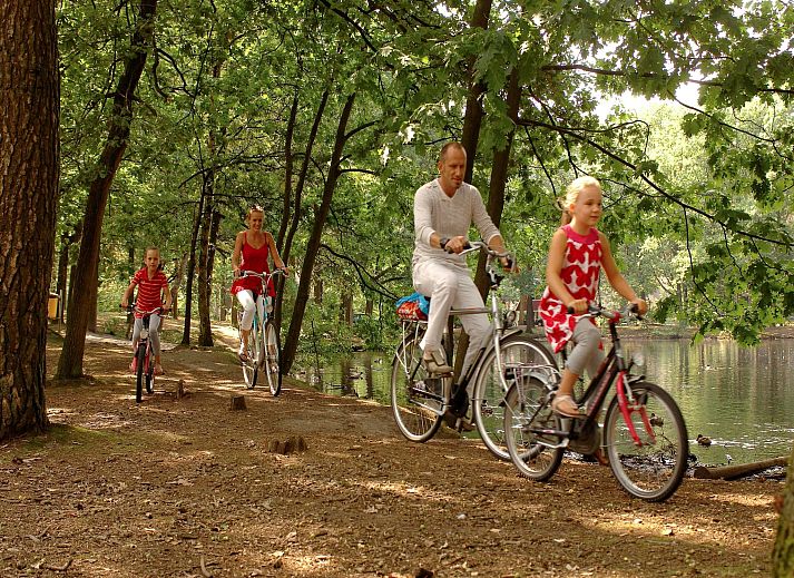 Verblijf 400222 - Chalet De Peel - Bospark 't Wolfsven 9