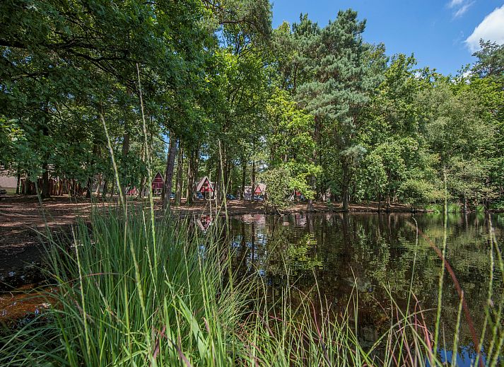 Verblijf 400222 - Chalet De Peel - Bospark 't Wolfsven 9