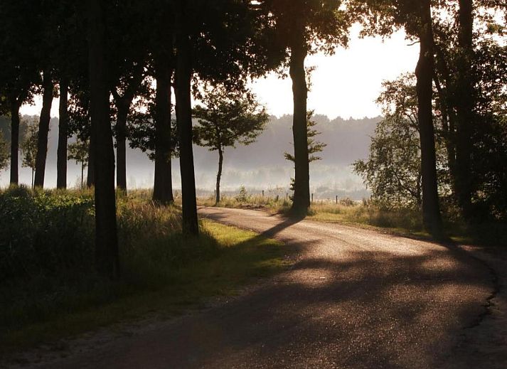 Verblijf 400222 - Chalet De Peel - Bospark 't Wolfsven 9