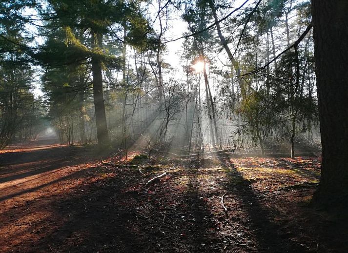 Verblijf 400222 - Chalet De Peel - Bospark 't Wolfsven 9
