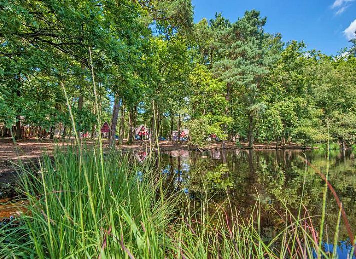 Verblijf 400226 - Vakantiewoning De Peel - Vrijstaande woning in Mierlo