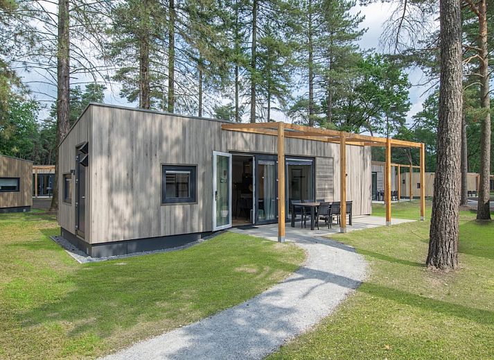 Guest house 400227 • Chalet De Peel • Timber Cottage 6 
