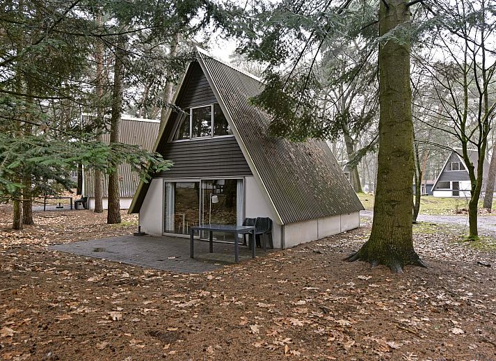 Guest house 400229 - Holiday property De Peel - Vrijstaande woning in Mierlo