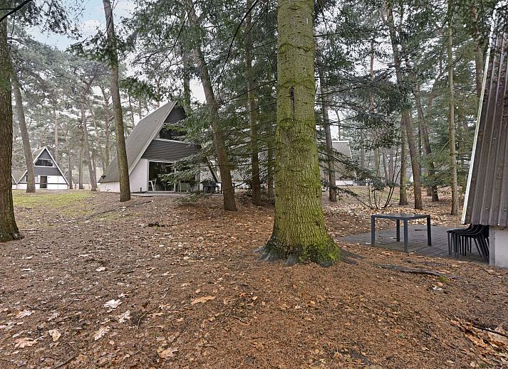 Guest house 400229 - Holiday property De Peel - Vrijstaande woning in Mierlo