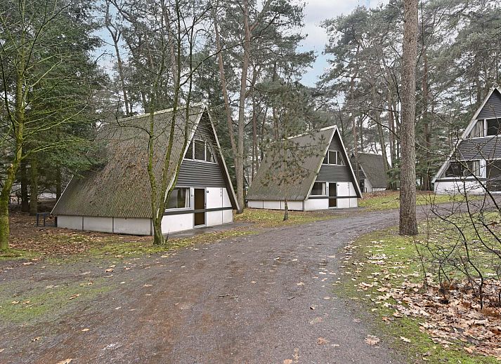 Guest house 400229 - Holiday property De Peel - Vrijstaande woning in Mierlo