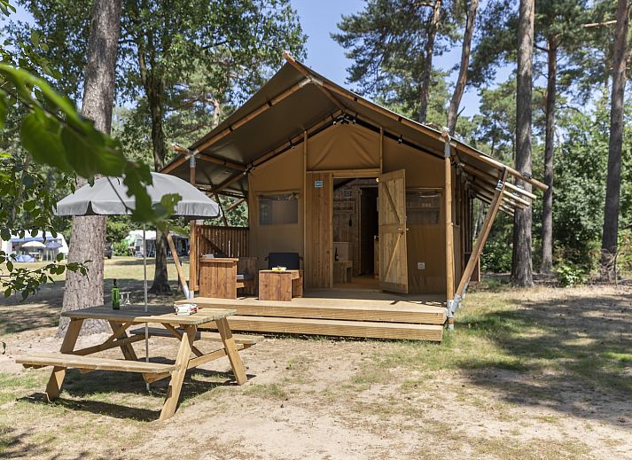 Unterkunft 400240 • Ferienhaus De Peel • Bospark 't Wolfsven 12