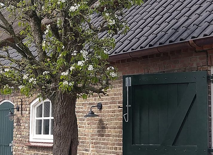 Geniet van de zonnige binnenplaats van Vakantiehuis in Mierlo, De Peel, Noord Brabant.