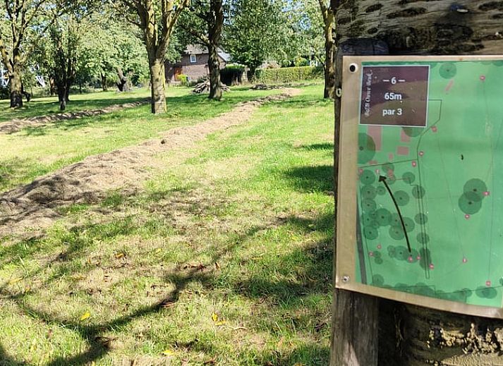 Groene weide met bloesembomen bij Vakantiehuis in Mierlo, De Peel, Noord Brabant.