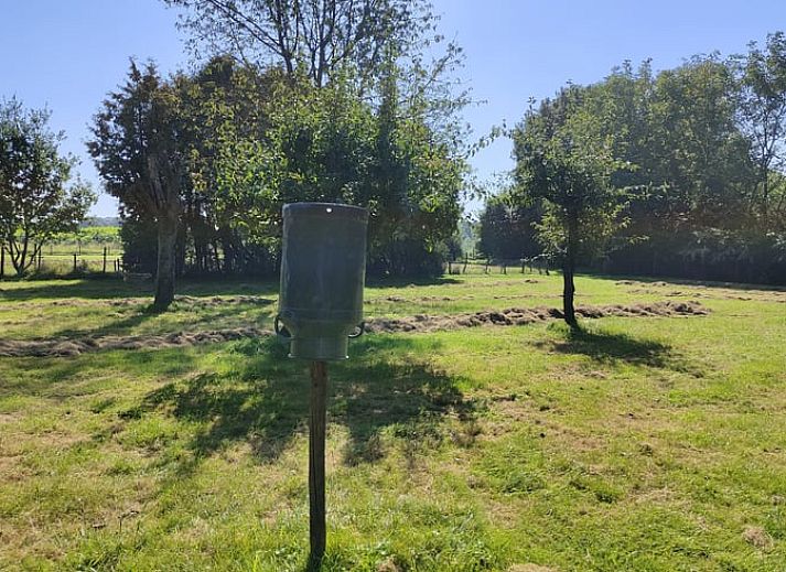 Kleurrijke bloemen in de tuin van Vakantiehuis in Mierlo, De Peel, Noord Brabant.