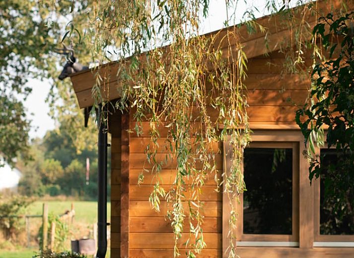 Vakantiehuis in Mierlo, Noord Brabant met houten buitenkant en groene tuin.