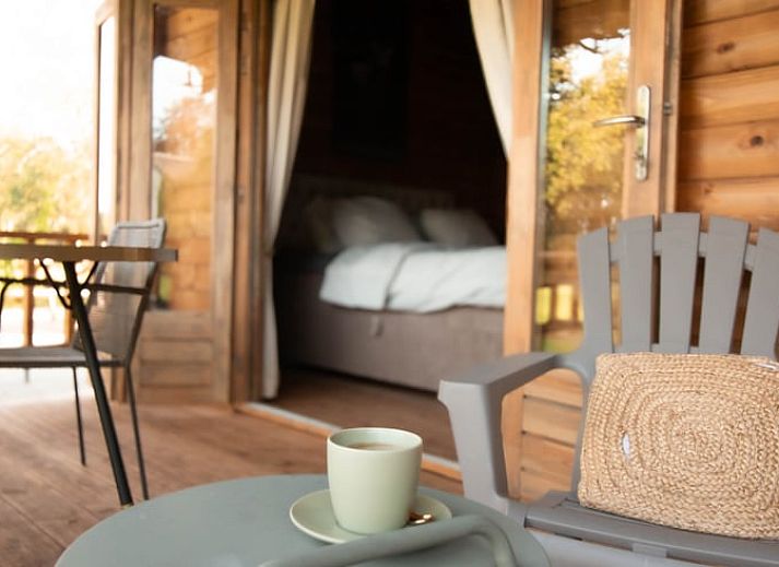 Vakantiehuis in Mierlo, Noord Brabant met houten buitenkant en groene tuin.