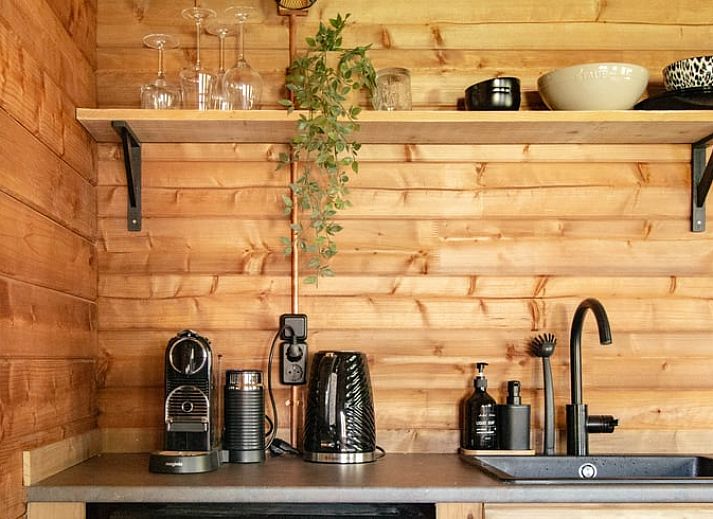 Veranda van Vakantiehuis in Mierlo, De Peel met uitzicht op weelderige natuur.
