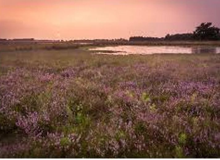Gezellige hoek van Vakantiehuis in Mierlo, omgeven door groene bomen.