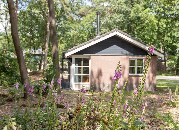 Verblijf 400316 - Vakantiewoning De Peel - Geschakelde woning in Vlierden