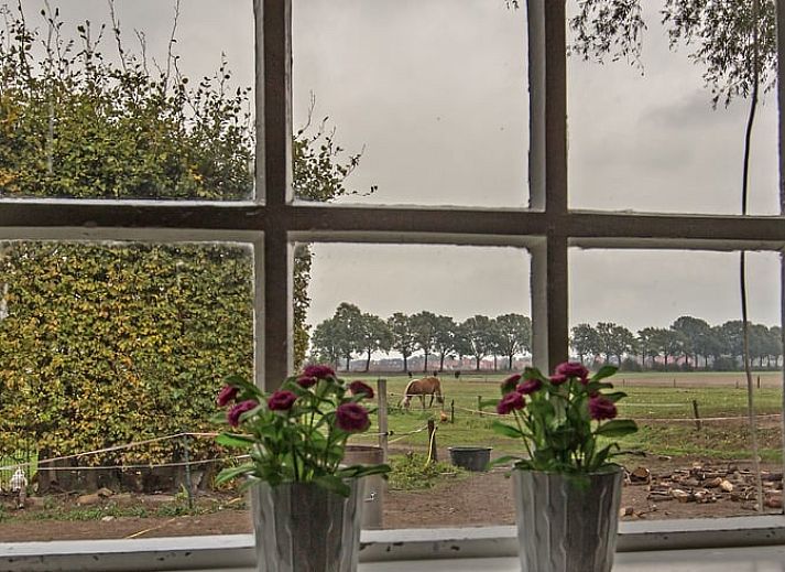 Rustige tuin bij Vakantiehuisje in Aarle-Rixtel, Noord Brabant, met groene omgeving en comfortabele stoelen.