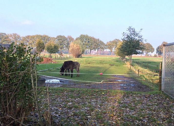 Stijlvolle woonkamer van Vakantiehuisje in Aarle-Rixtel, De Peel, met moderne inrichting.