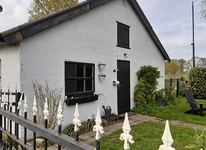 Uitzicht vanuit Vakantiehuisje in Aarle-Rixtel, Noord Brabant, op groene weides en paarden.