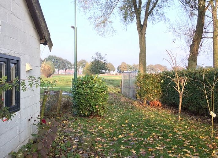 Uitzicht vanuit Vakantiehuisje in Aarle-Rixtel, Noord Brabant, op groene weides en paarden.