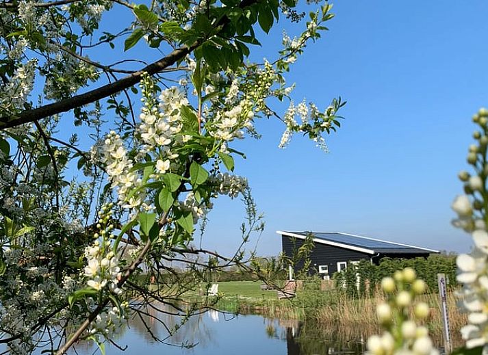 Unterkunft 400904 - Ferienhaus De Peel - Vakantiehuis in Venhorst