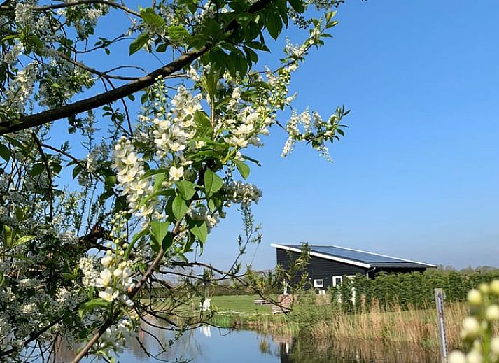 Ruhige Aussicht auf das Wasser im Ferienhaus in Venhorst, De Peel, Nordbrabant.