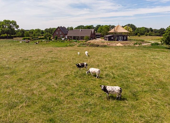 Unterkunft 401002 - Ferienhaus De Peel - Huisje in Gassel