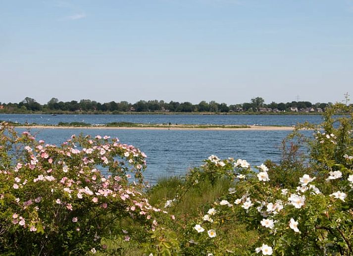 Unterkunft 401002 - Ferienhaus De Peel - Huisje in Gassel