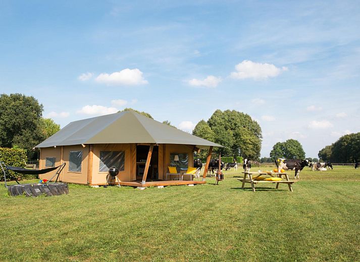 Unterkunft 401303 • Zelthaus De Peel • Barntent + Airco