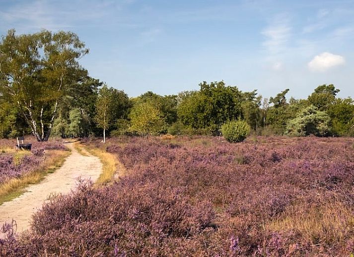 Verblijf 401419 - Vakantiewoning De Peel - Huisje in Lierop