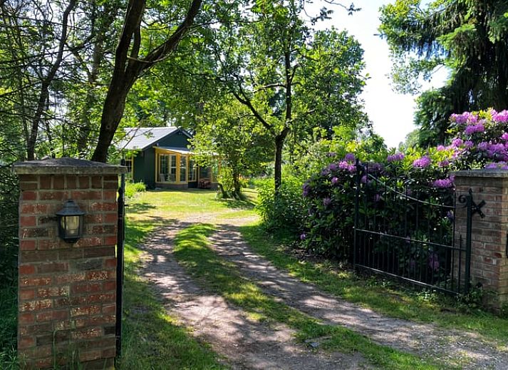 Unterkunft 401901 - Ferienhaus De Peel - Huisje in Milheeze