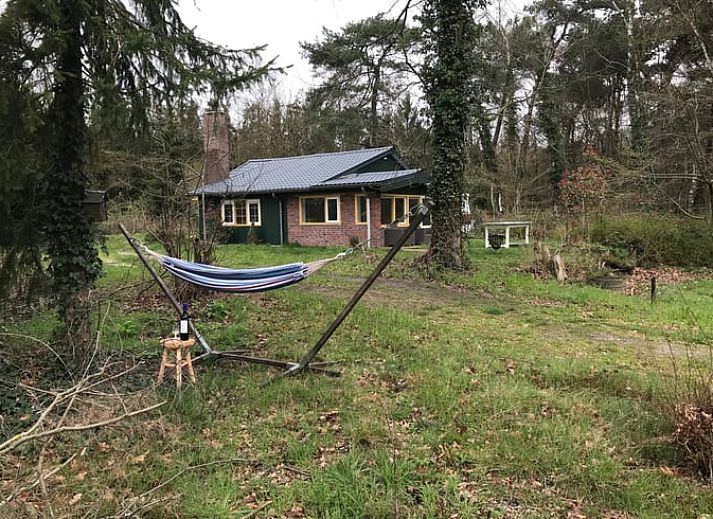 Unterkunft 401901 - Ferienhaus De Peel - Huisje in Milheeze