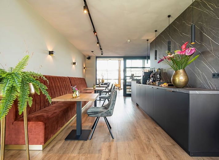 Ruim terras bij Vakantiehuisje in Milheeze omgeven door natuur in De Peel, Noord Brabant.