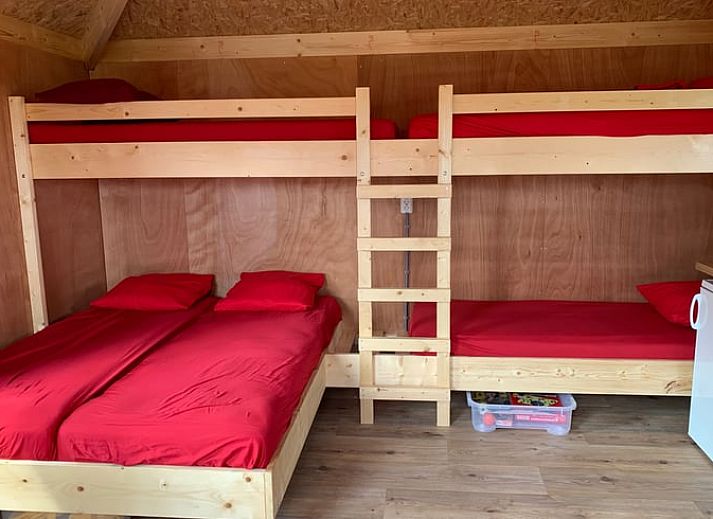 Charmant vakantiehuis Huisje in Deurne met groene tuin in De Peel, Noord Brabant