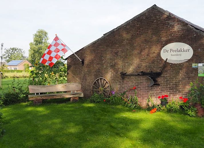 Gezellige slaapruimte met stapelbedden in Huisje in Deurne, De Peel, Noord Brabant