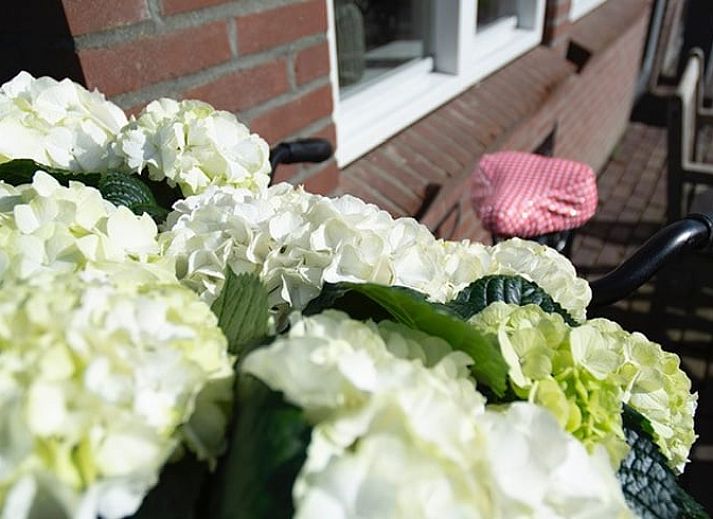 Blick auf die laendliche Umgebung des Ferienhauses in Deurne, De Peel, Nordbrabant.
