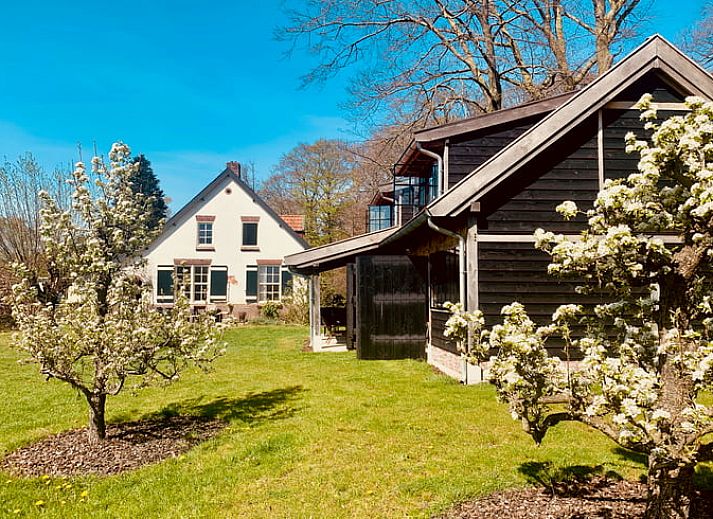 Vakantiehuis in De Rips, Noord Brabant, te midden van groene natuur in De Peel.