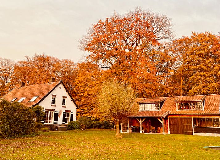 Vakantieverblijf in De Rips, Noord Brabant, met bloeiende bomen en serene omgeving.