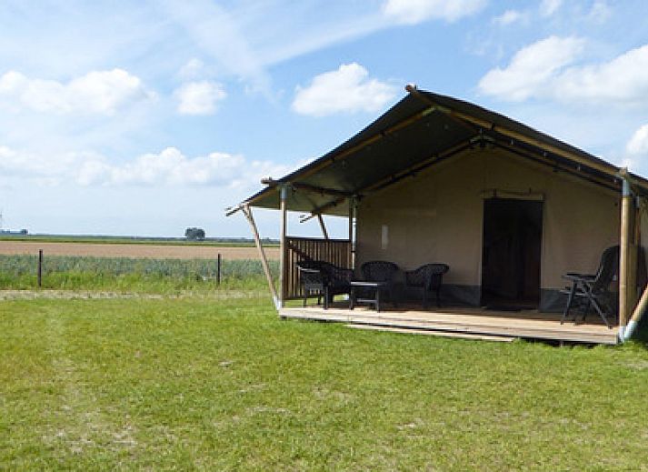 Unterkunft 402601 - Zelthaus De Peel - Safaritent incl toilet