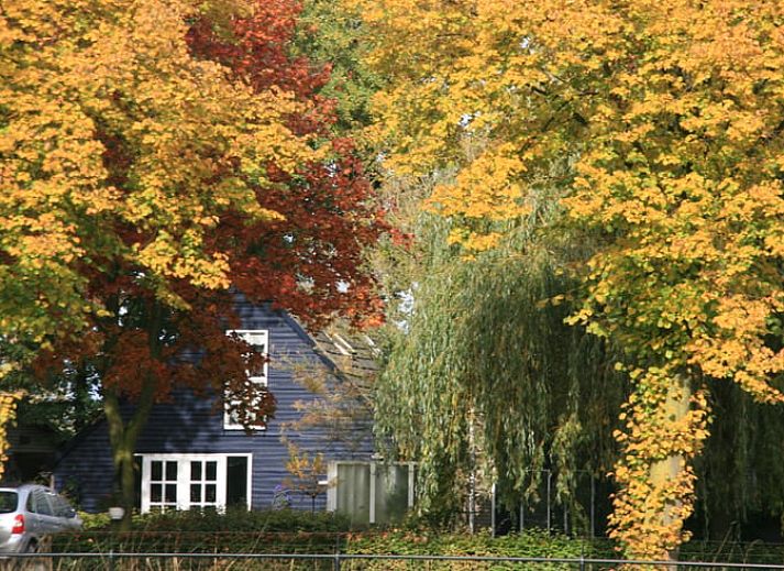 Charmant Vakantiehuis in Budel met blauwe gevel en groene tuin in Kempen, Noord Brabant.
