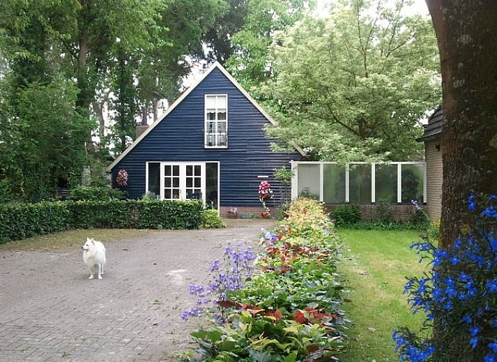 Charmant Vakantiehuis in Budel met blauwe gevel en groene tuin in Kempen, Noord Brabant.