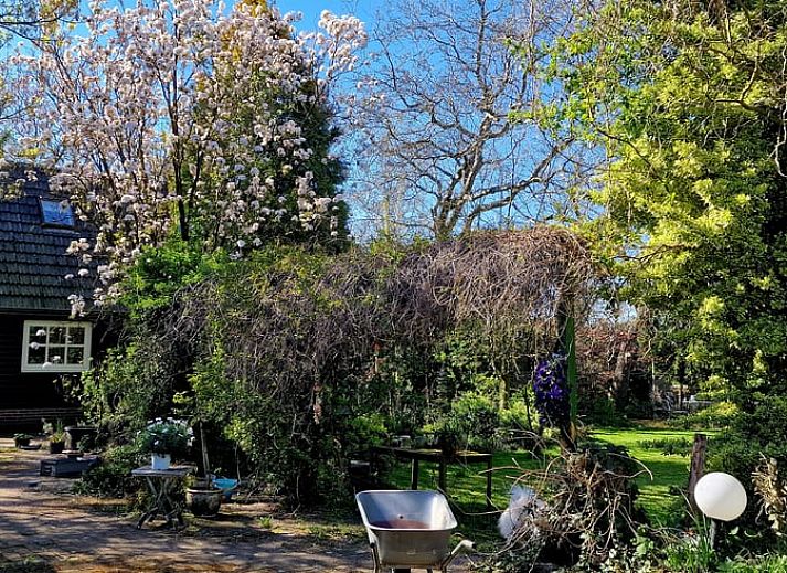 Charmant Vakantiehuis in Budel met blauwe gevel en groene tuin in Kempen, Noord Brabant.