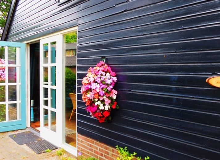 Herfstkleuren omringen Vakantiehuis in Budel, sfeervolle vakantiewoning in Kempen, Noord Brabant.