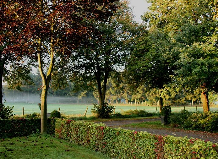 Vakantiehuis in Budel met oprijlaan en bloeiende tuin in Kempen, Noord Brabant.