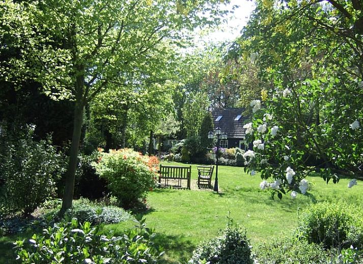 Verlichte nachtelijke aanblik van Vakantiehuis in Budel, ideaal voor een verblijf in Kempen, Noord Brabant.