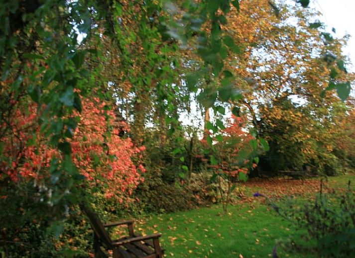 Verlichte nachtelijke aanblik van Vakantiehuis in Budel, ideaal voor een verblijf in Kempen, Noord Brabant.
