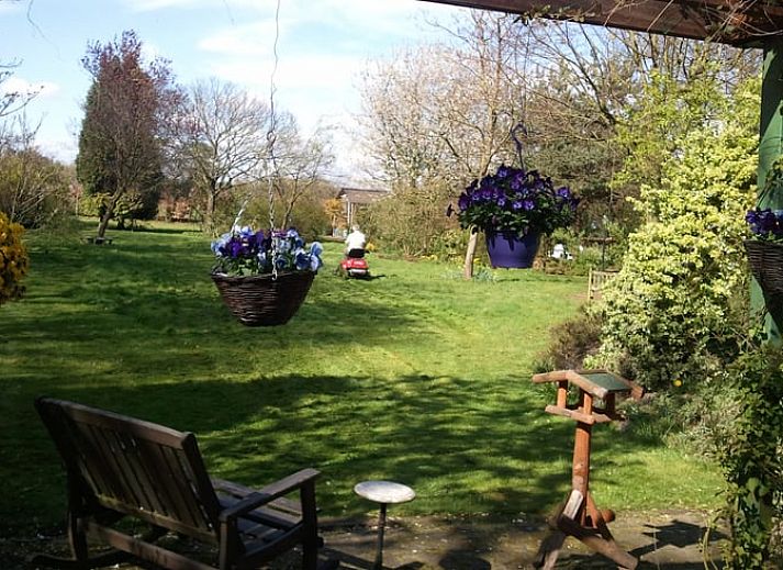 Weelderige tuin bij Vakantiehuis in Budel, omringd door natuur in Kempen, Noord Brabant.
