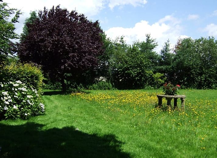 Weelderige tuin bij Vakantiehuis in Budel, omringd door natuur in Kempen, Noord Brabant.